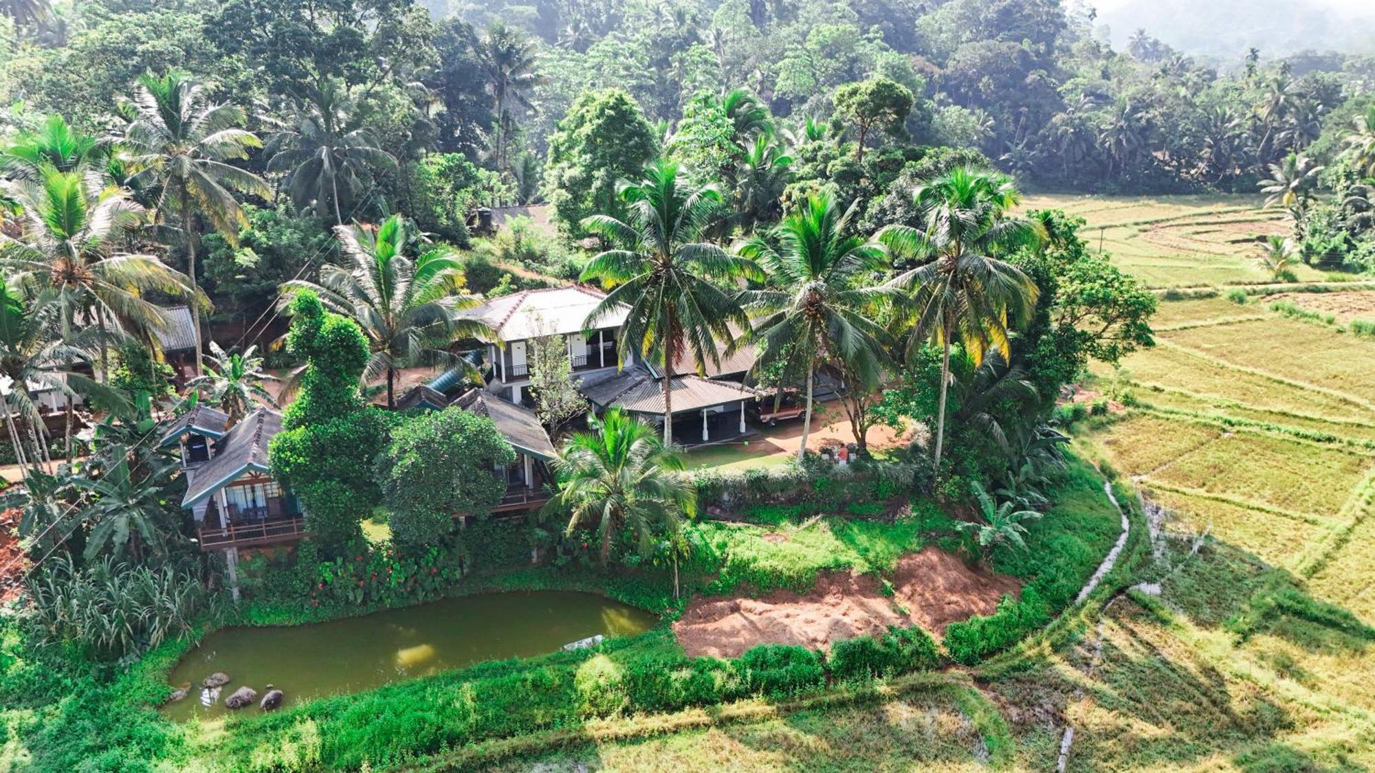 Rainforest Nest Deniyaya Bagian luar foto